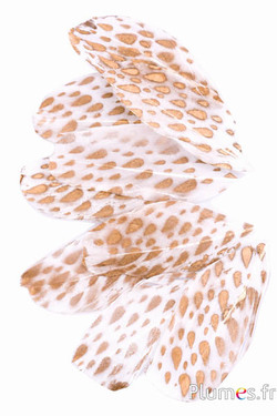 Blütenblätter aus Federn - Raindrops - 6-8 x 3-4 cm- weiss-gold